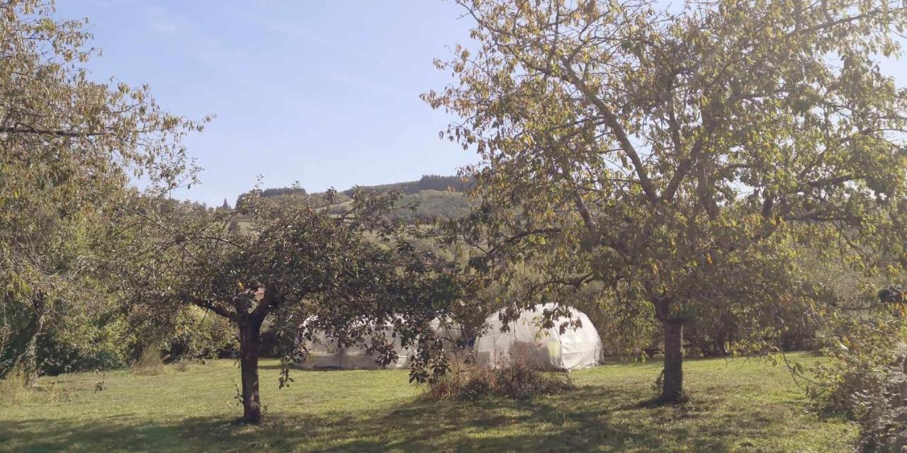 Petit Gite Ou Chambre D'Hotes 2/4 Personnes Buffieres Esterno foto